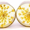 Mystic Metals Body Jewelry Mystic Metals Body Jewelry Embedded Real Yellow Queen Anne'S Lace Flower Plugs - Sold As A Pair Body Piercing Plugs