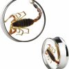 Awinrel Awinrel Ear Gauges Plugs Genuine Scorpion Inlay Stainless Steel Double Flare Tunnels Stretching Expander Body Piercing Jewelry 2 Pieces Body Piercing Plugs