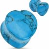 Dynamique Dynamique Pair Of Heart Shaped Turquoise Natural Stone Saddle Plugs Body Piercing Plugs